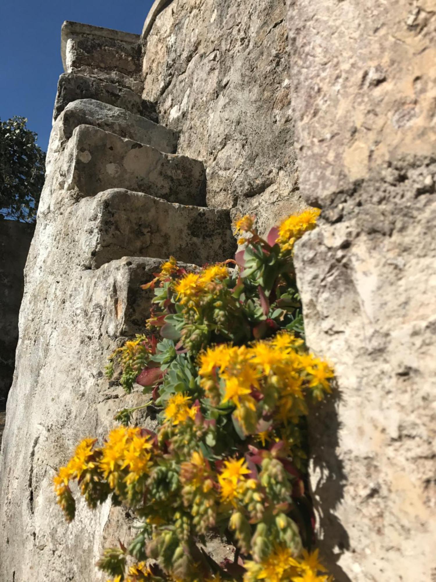 Agritrulli Guest House Ostuni Eksteriør bilde